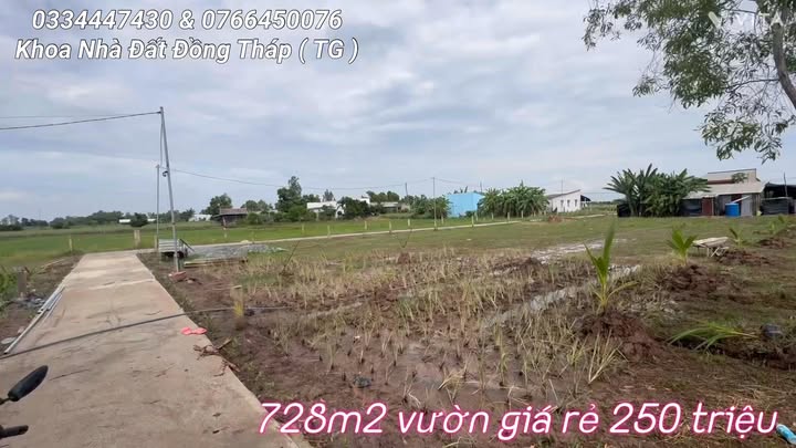 Đất vườn Tân Phú Đông 728.8m² giá 250 triệu - Pháp lý rõ ràng, đầu tư sinh lời!