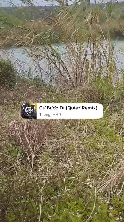 Đất nền thôn 3, xã Nâm N'Jang, 80.000m² giá 5 tỷ - Sổ đỏ chính chủ!