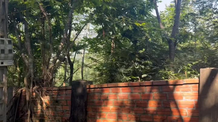 Đất nghỉ dưỡng xã Yên Bài, Ba Vì 6000m² giá 2.4 tỷ - Cơ hội đầu tư tốt!