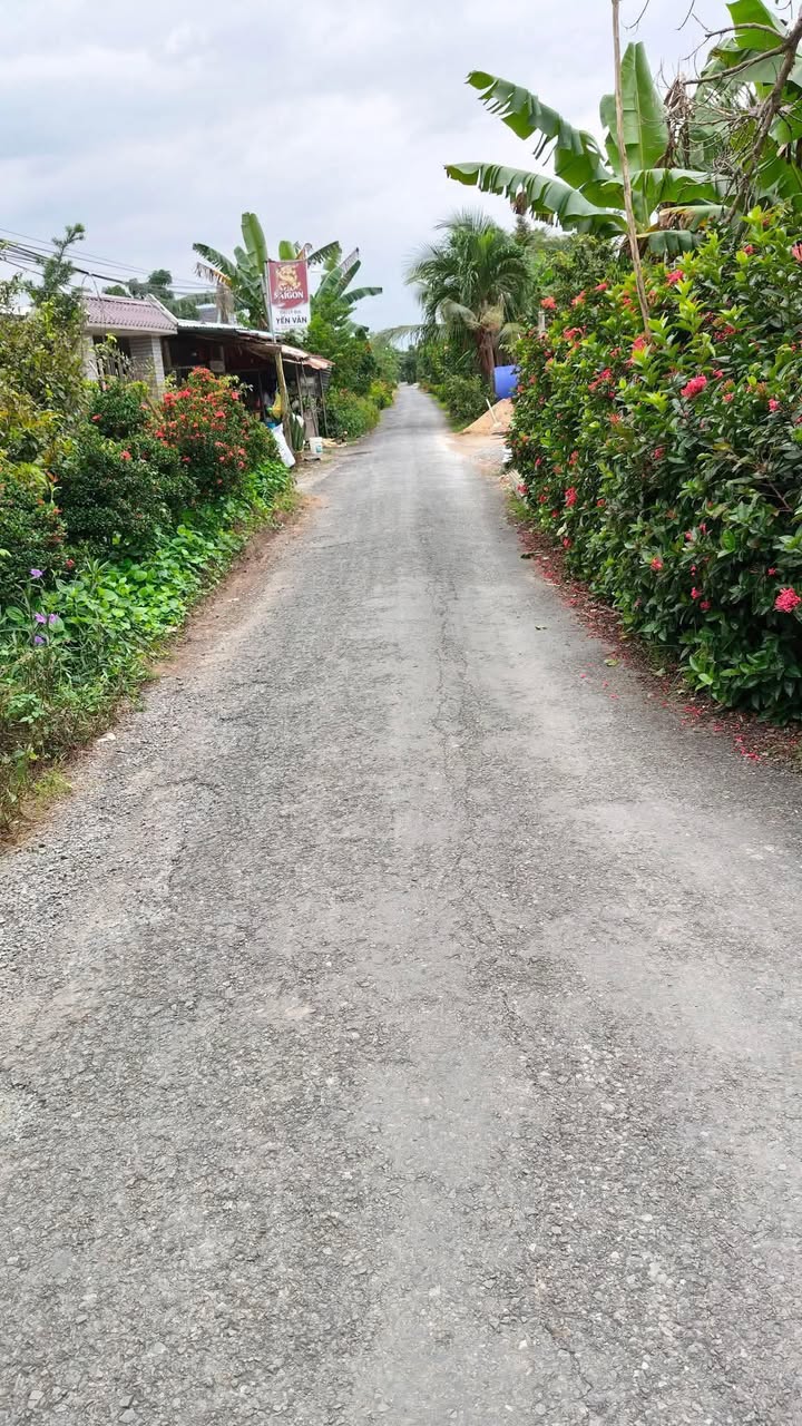 Đất nền đường nhựa Cái Bè 280m² giá 700 triệu - Sổ đỏ chính chủ!