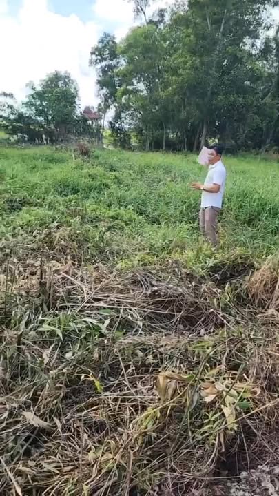 Đất nền thị trấn Ngan Dừa 432m² chỉ 350 triệu - Sổ hồng riêng, giá tốt!