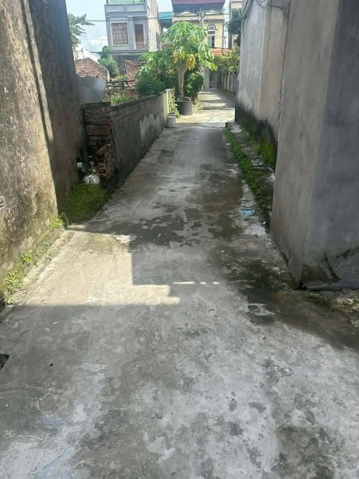 Đất nền Lệ Chi, Gia Lâm 38m² giá chỉ 2 tỷ - Vị trí đẹp, ô tô vào tận nơi!