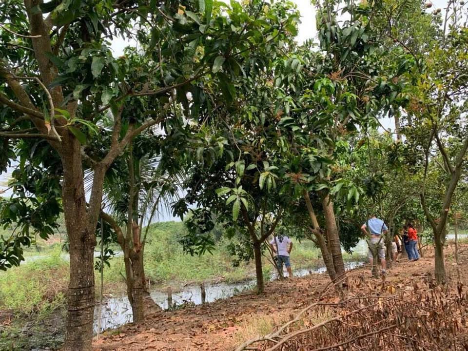 Đất nền La Ngà Đồng Nai 1100m² giá 1.24 tỷ - Gần khu du lịch nổi tiếng!