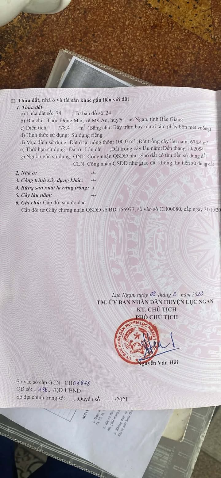 Đất thổ cư Phượng Sơn 778m² giá 1 tỷ - Đầu tư sinh lời ngay!