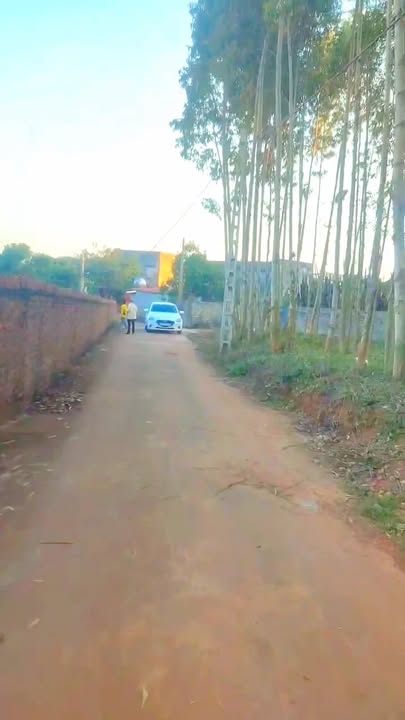 Đất nền Tam Dị, Lục Nam, Bắc Giang 1150m² chỉ 1.15 tỷ - Cơ hội đầu tư hấp dẫn!