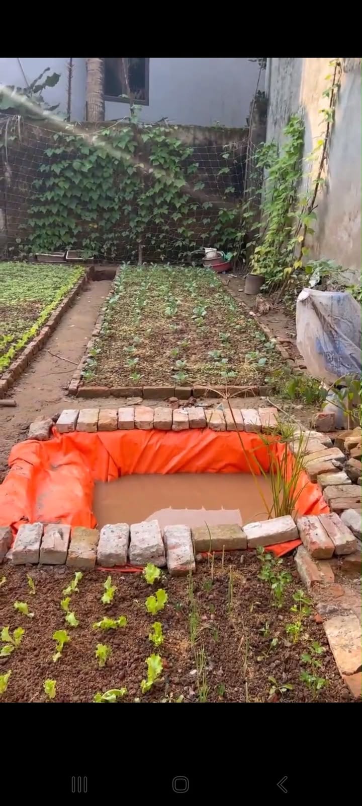 Lô đất Hòa Mạc, Duy Tiên 80m² giá 1.5 tỷ - Cơ hội đầu tư tuyệt vời!