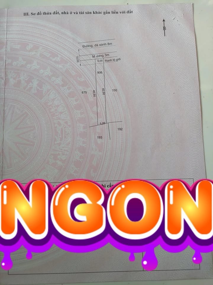 Đất nền Hòa Khánh Nam 205m² giá 1.4 tỷ - Sổ đỏ chính chủ, gần chợ và trường học!