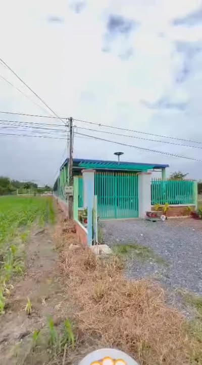 Nhà cấp 4 Đức Hòa Thượng 480m² giá 3 tỷ - Bán gấp, pháp lý rõ ràng!