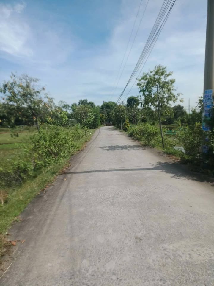 Đất vườn 942m² mặt tiền DT824, giá 4.5 tỷ - Đầu tư sinh lời ngay!