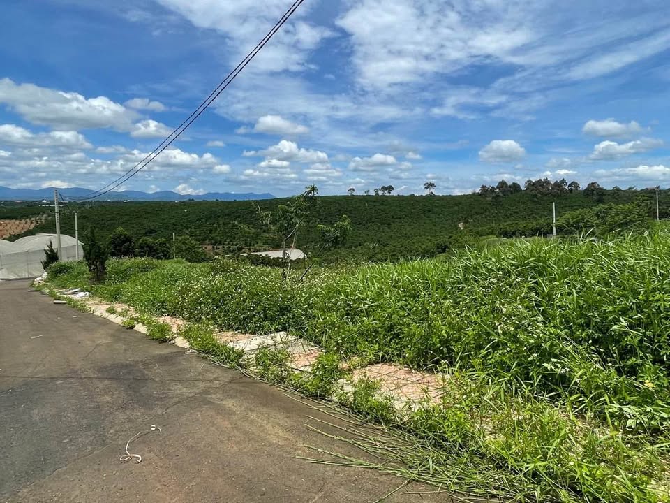 Đất nền xã Lộc Đức, huyện Bảo Lâm 100m² giá 800 triệu - Đầu tư sinh lời ngay!