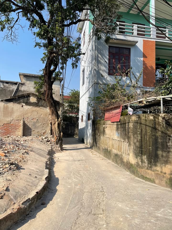 Nhà phố tại phường Đông Thọ, Thanh Hóa 42m² giá 1 tỷ - Khu vực trung tâm tiện ích đầy đủ!