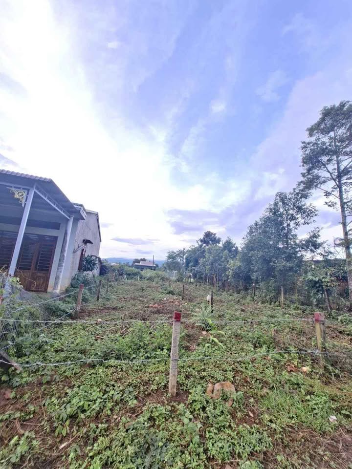 Đất thổ cư Hẻm 468 Trường Sơn, Ia Hrung 150m² giá 445 triệu - Pháp lý rõ ràng!