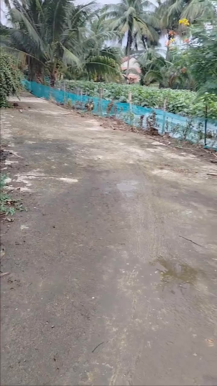 Đất nền 130m² tại Mỹ Hòa, Phù Mỹ chỉ từ 100 triệu - Đầu tư sinh lời ngay!