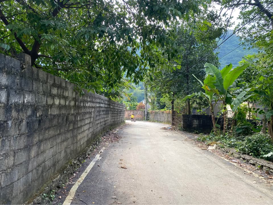 Đất nền Cư Yên, Lương Sơn 1000m² giá 4 tỷ - Mặt tiền 40m, cơ hội đầu tư hấp dẫn!