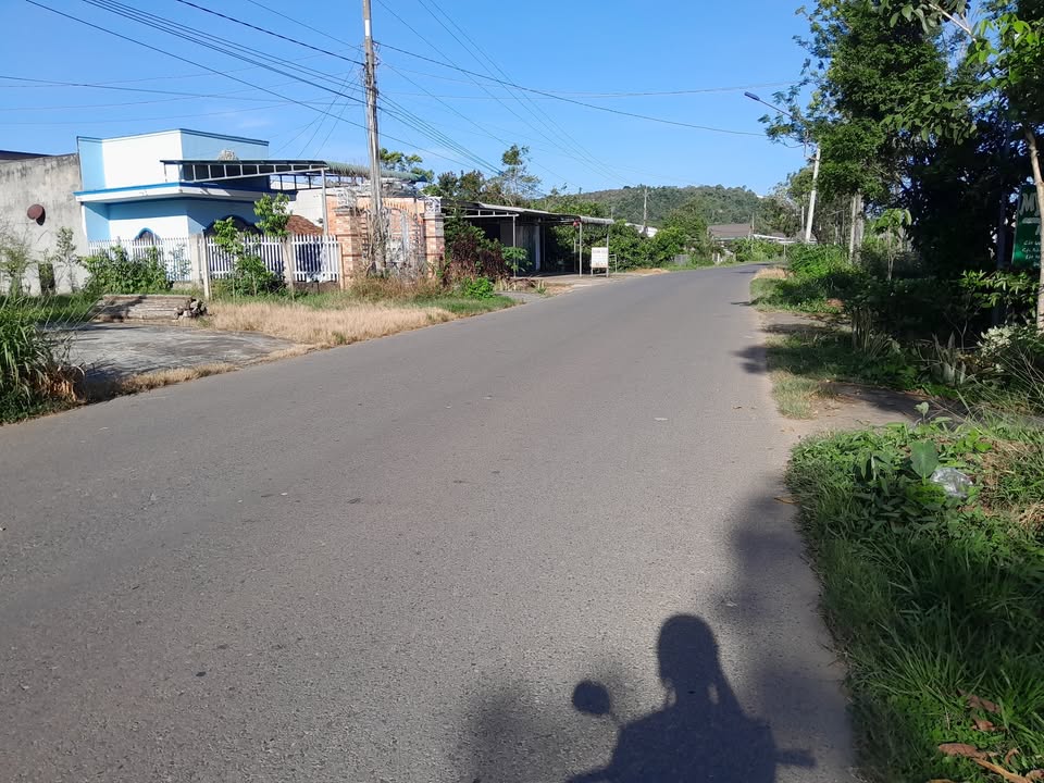 Bán đất nền Cát Tiên 2000m² giá 650 triệu - Đầu tư sinh lời ngay!