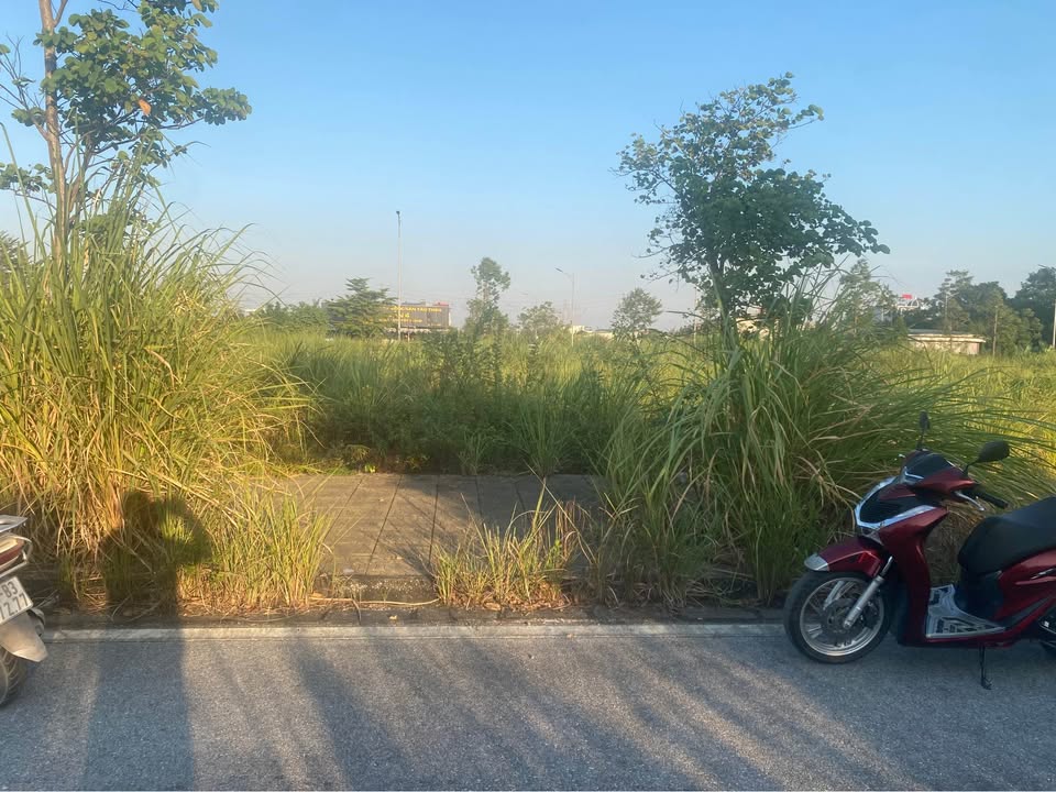 Đất đấu giá Khu đô thị Đại Cương, 100m² giá chỉ 3.2 tỷ - Cơ hội đầu tư tuyệt vời!