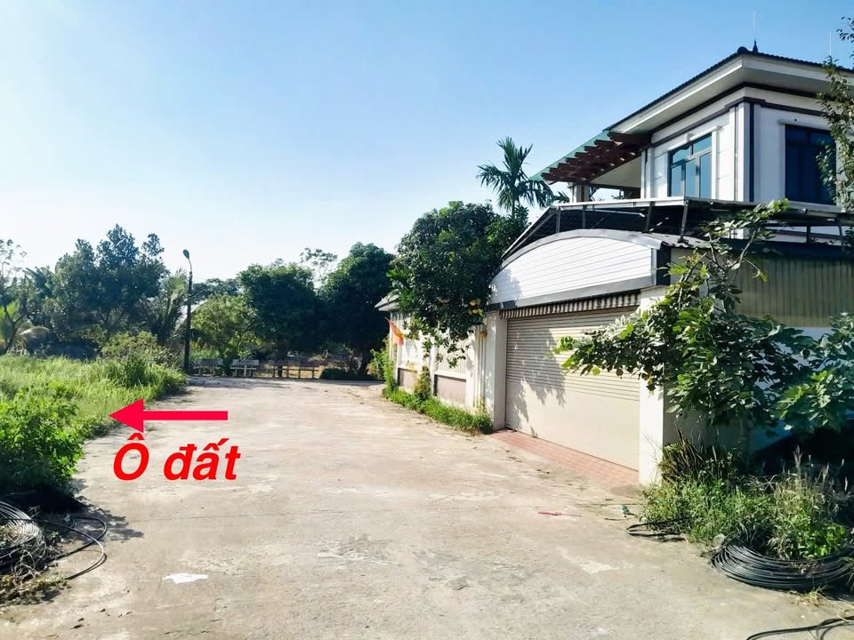 Đất nền Khu Tân Trung, Thị trấn Lâm Thao 226m² giá 2.2 tỷ - Cơ hội đầu tư tuyệt vời!