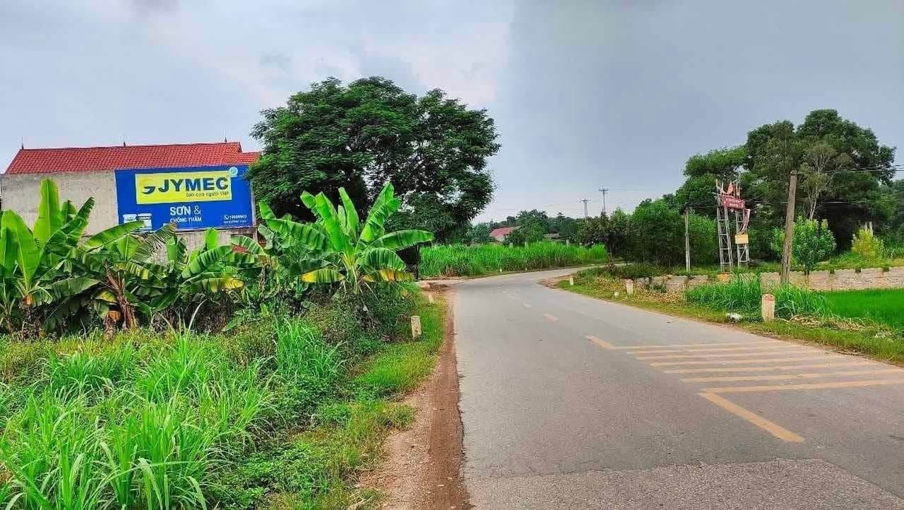 Bán lô đất mặt đường TL 413, thôn Đông Lâu, 100m² - Cơ hội đầu tư tuyệt vời!