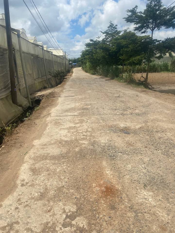 Đất nền Hòa Lạc Đơn Dương 147.2m² giá chỉ 430 triệu - Sổ đỏ chính chủ!