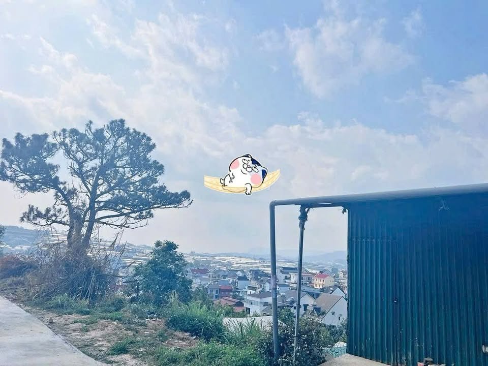 Đất nền Xuân Thành - Trại Mát 488.57m² giá 8.2 tỷ - Tiềm năng phát triển homestay!