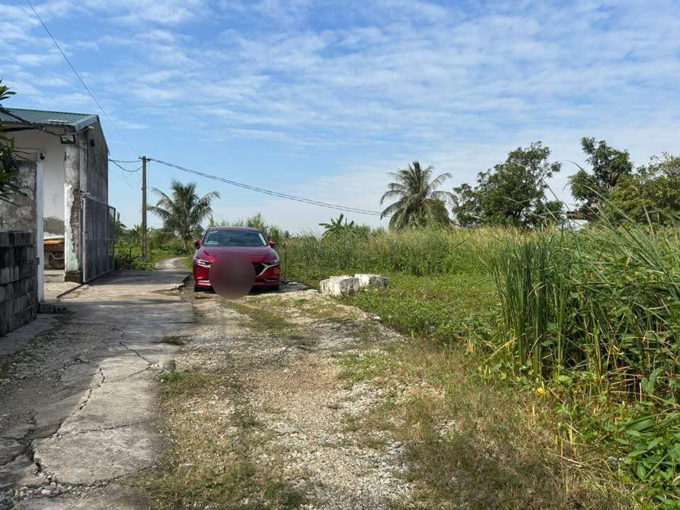 Lô đất Nam Đồ Sơn 340m² giá chỉ 1x triệu - Đầu tư sinh lời ngay!