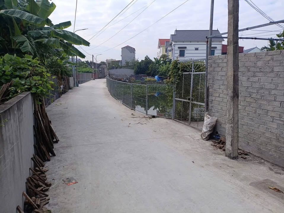 Đất nền thôn Câu Hạ A, An Quang, An Lão 74m² - Tiện ích đầy đủ, kết nối nhanh chóng!