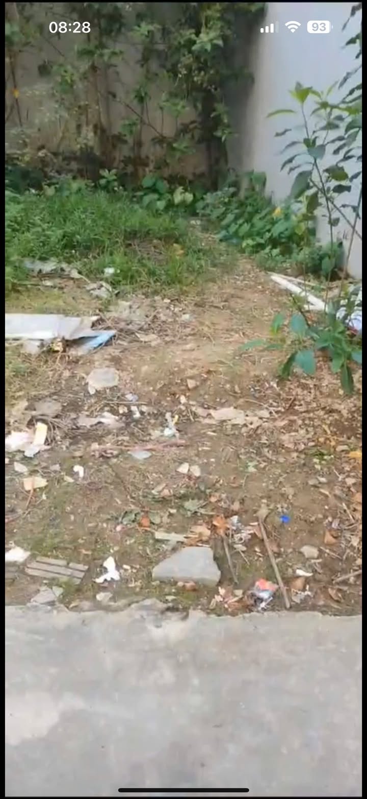 Đất nền Quang Minh, Mê Linh 50,4m² giá 2,1 tỷ - Đầu tư sinh lời ngay!