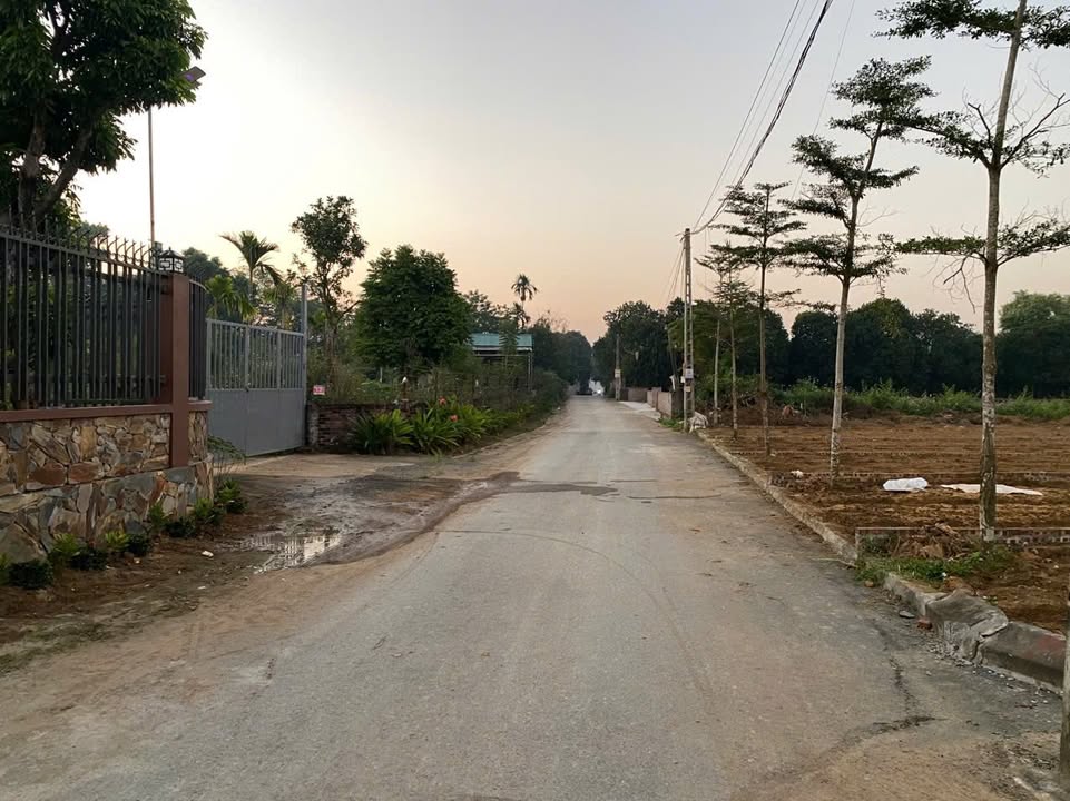 Đất nền Phú Cát, Quốc Oai 100m² giá 4 tỷ - Kinh doanh sầm uất, an ninh tốt!