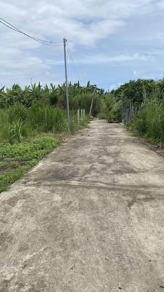 Đất nền Phú Nhuận, Bến Tre 99.9m² giá chỉ 230 triệu - Cơ hội đầu tư tốt!