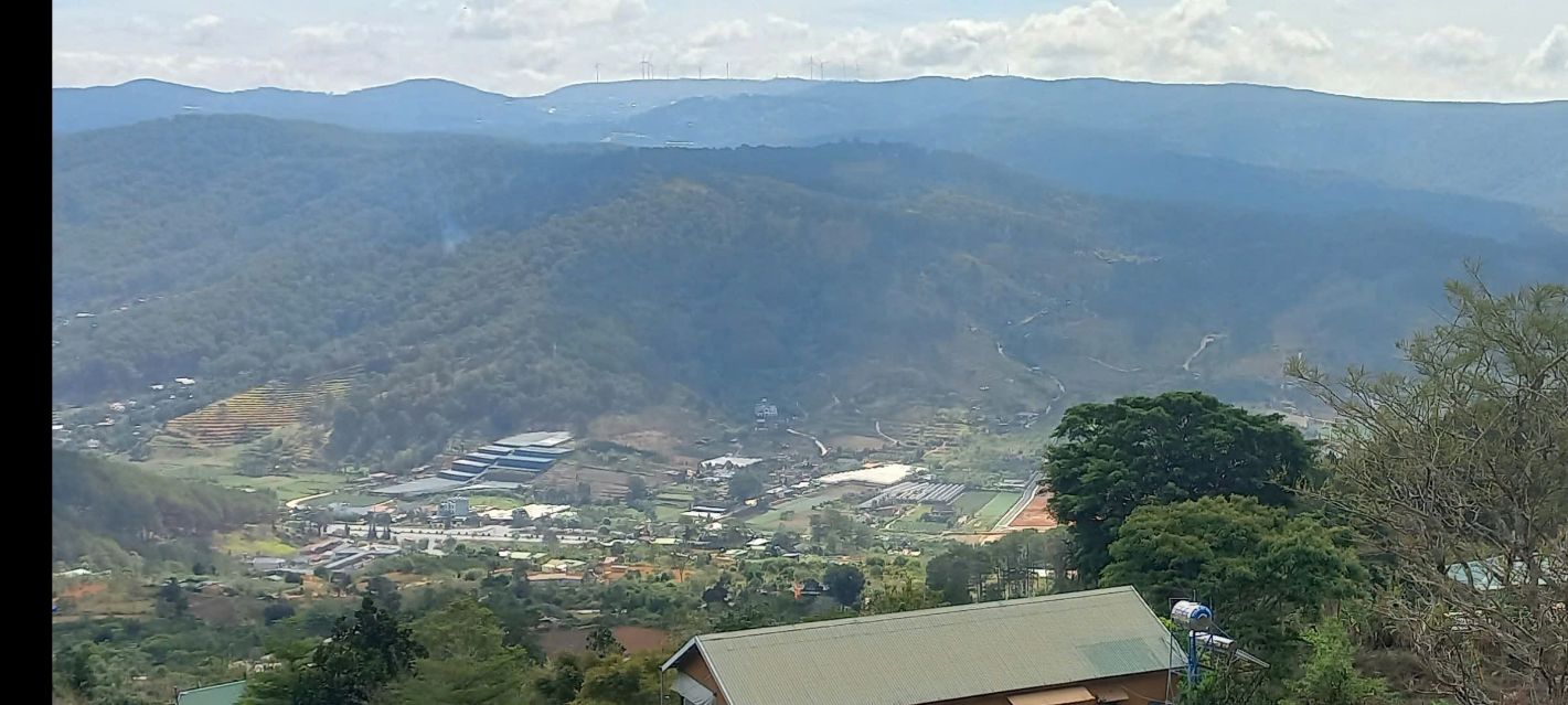 Đất vườn Hiệp An, Đức Trọng 2ha giá 30 tỷ - Cơ hội đầu tư sinh lời!