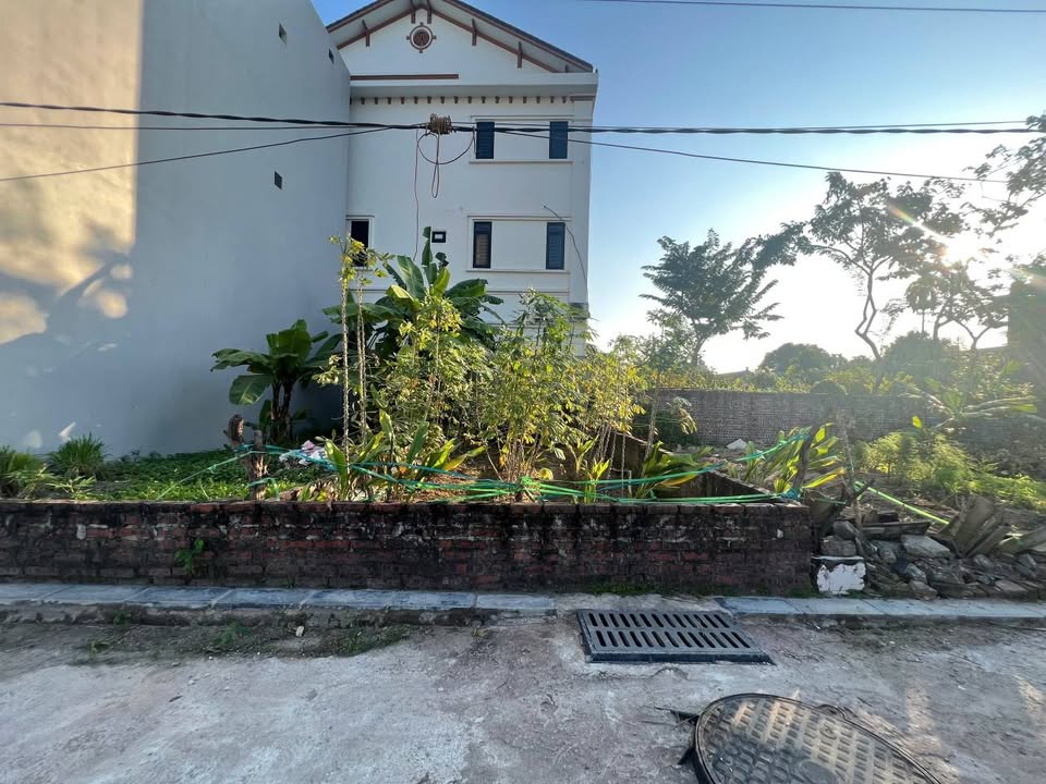 Đất nền 55m² tại Thôn Bến Trung, xã Bắc Hồng - Ô tô đỗ cửa, giá thỏa thuận!