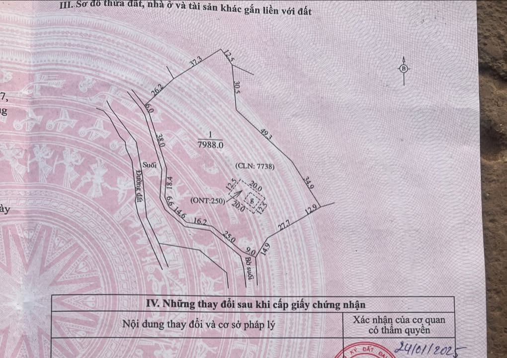 Đất làm trang trại 8000m² tại Sơn Hải, Lục Ngạn chỉ 500 triệu - Đầu tư sinh lời ngay!