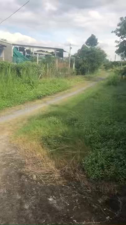 Nhà cho thuê đường An Tịnh, Trảng Bàng, Tây Ninh 100m² giá 6 triệu - Không thể bỏ lỡ!