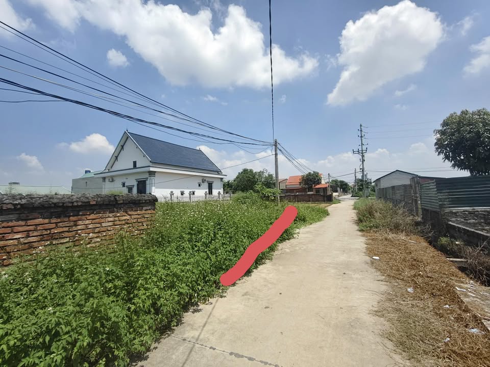 Đất Thư Dương - Thư Phú 56,2m² - Chính chủ bán, giá chỉ 53,5 triệu!