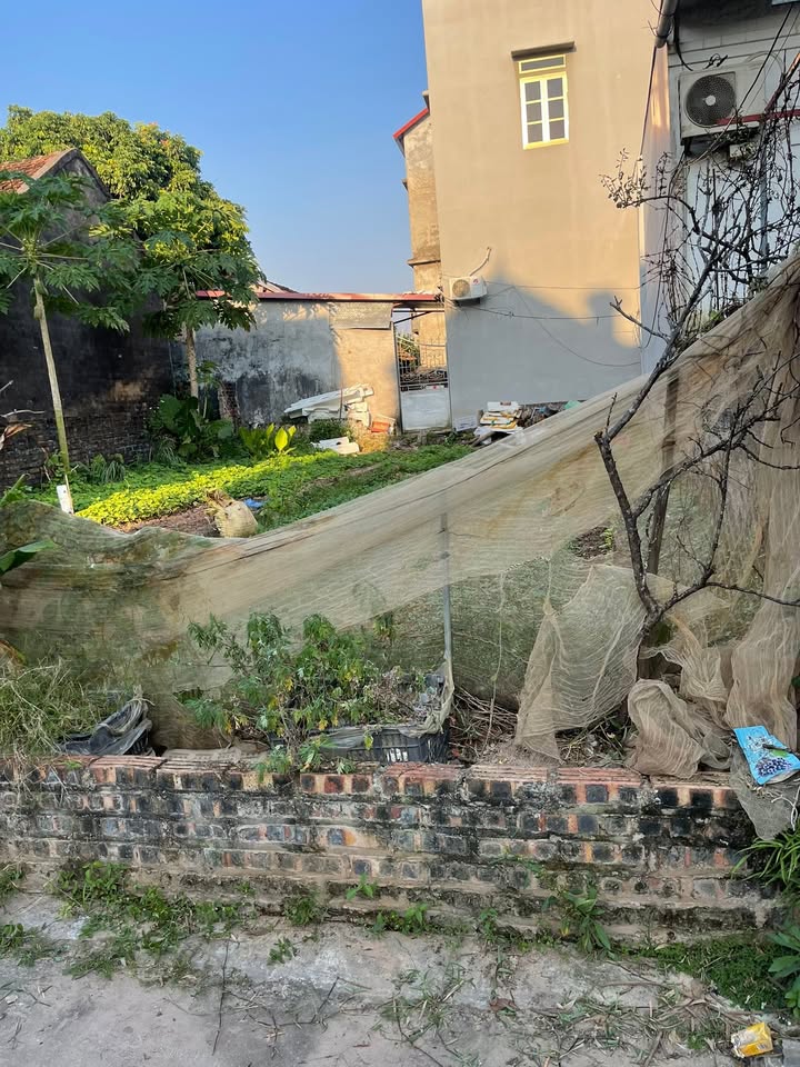 Đất Tráng Việt 61m² - Ô tô vào tận nơi, giá thỏa thuận hấp dẫn!