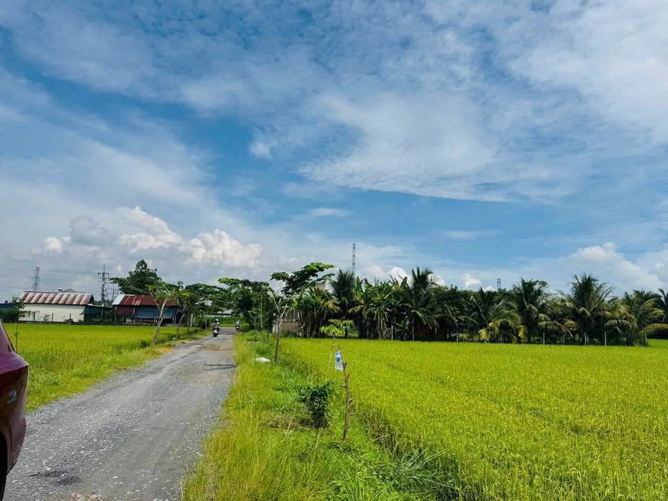 Đất vườn tại xã Trung Lập Hạ, Củ Chi 917m² giá 1.75 tỷ - Sổ đỏ chính chủ!