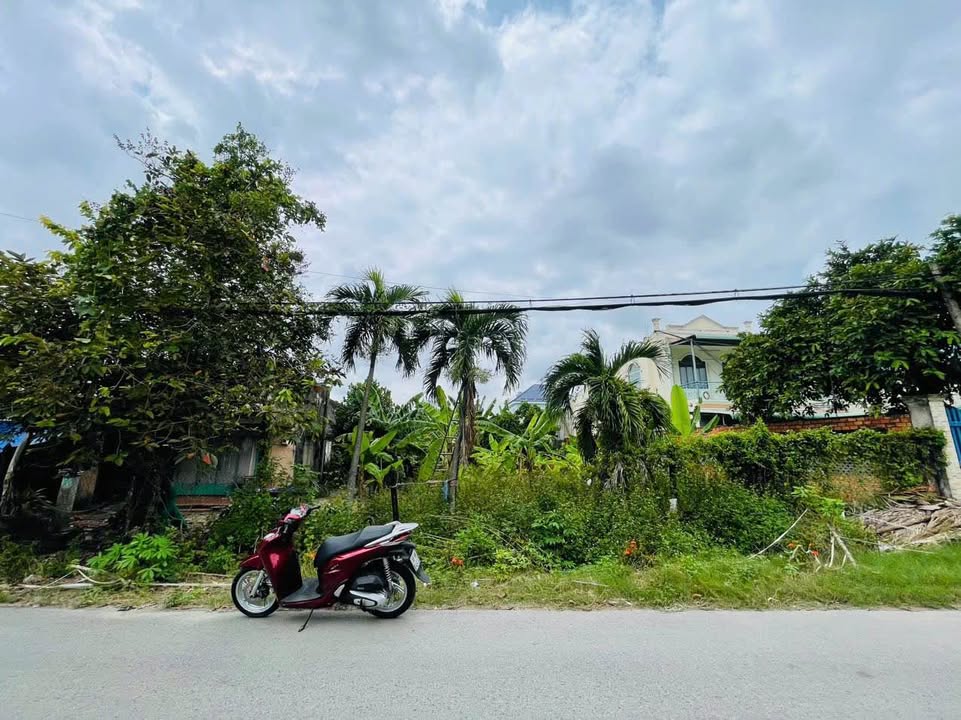 Đất thổ cư Củ Chi 1316m² giá 15.5 tỷ - Pháp lý rõ ràng, xây dựng tự do!