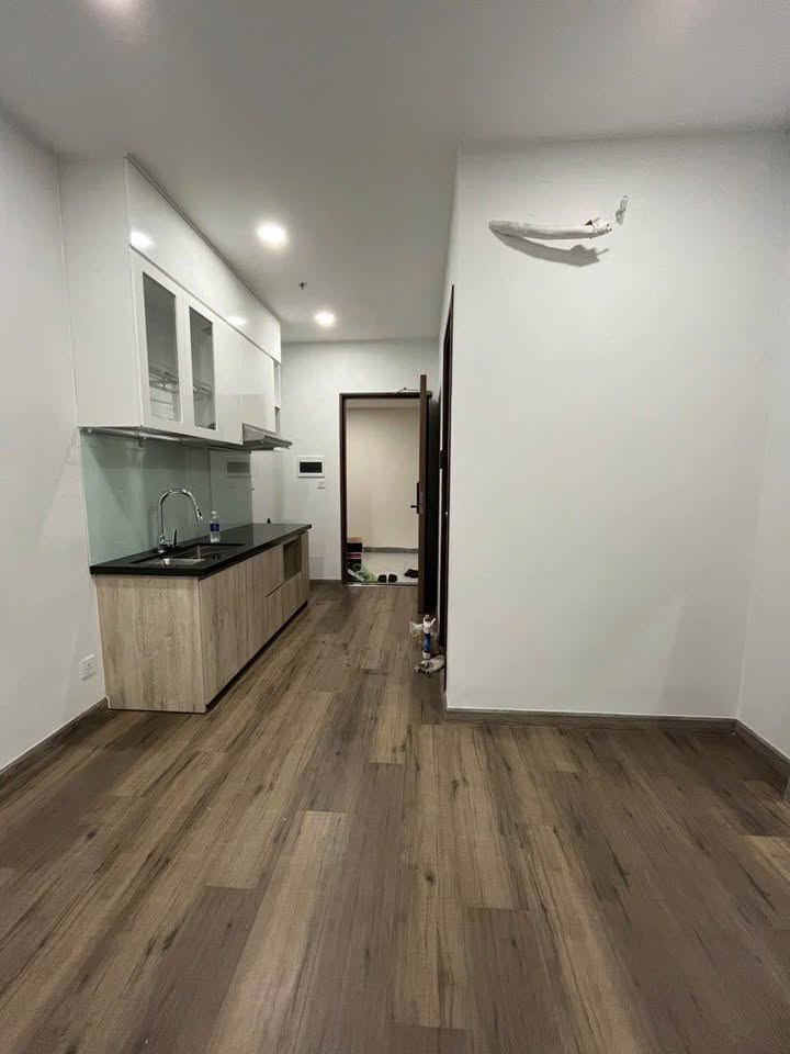 Căn hộ Pegasuite 2 Quận 8 23m² giá 1.85 tỷ - Sổ hồng chính chủ