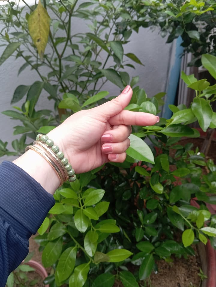 Đất Láng Me, Bắc Sơn, 1269m² giá 600 triệu - Đầu tư sinh lời lý tưởng!