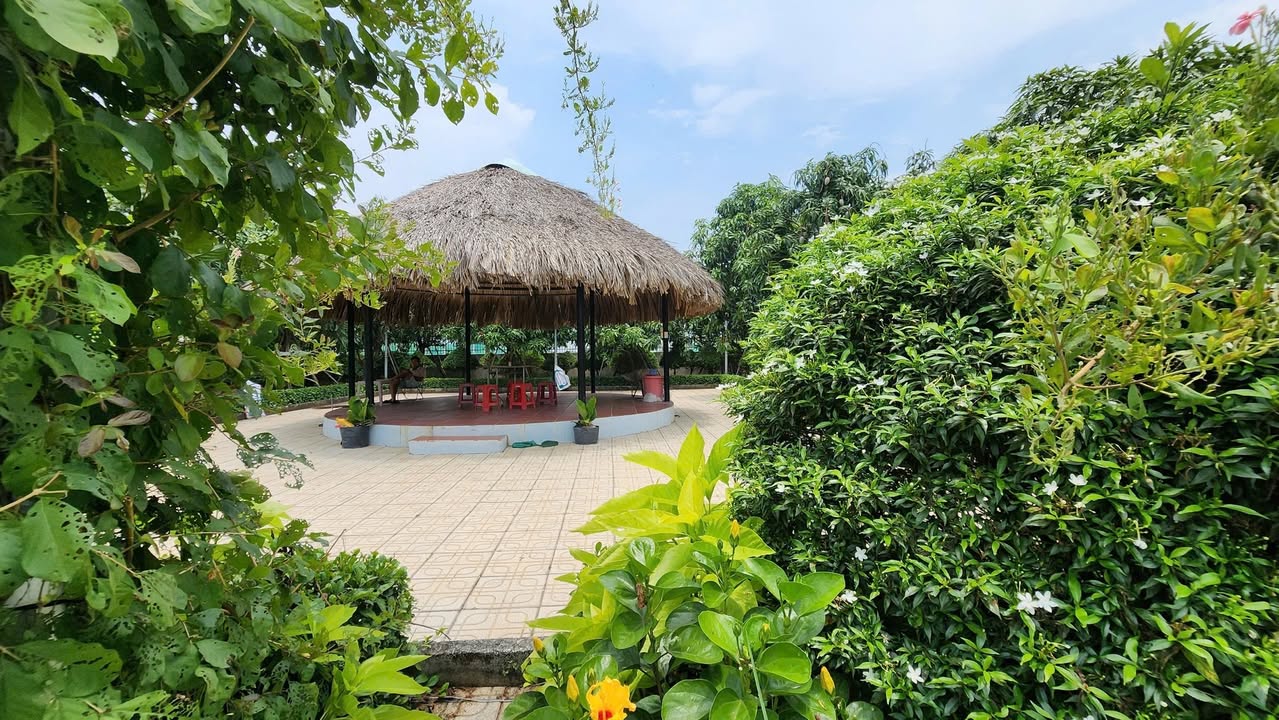 Nhà vườn – Ao cá 5.800m² tại An Ninh Đông, Đức Hòa, Long An – Giá 11 tỷ