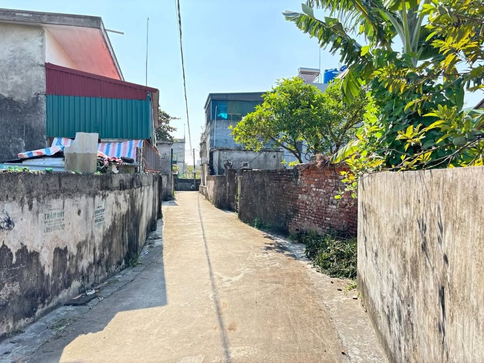 Đất nền Nam Hải, Tiền Hải 120m² giá chỉ 500 triệu - Cơ hội đầu tư tuyệt vời!