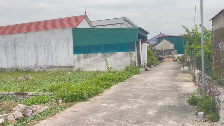 Đất nền Diễn Trường 150m² giá 1 tỷ - Cơ hội đầu tư sinh lời!