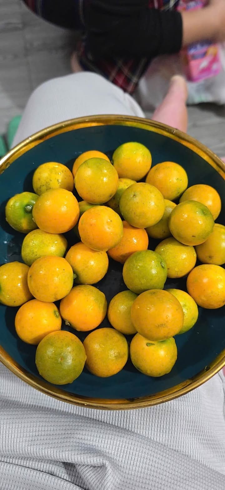 Đất nền chính chủ tại Đầu cầu Tình Húc, 95m² giá 1 tỷ - Cơ hội đầu tư hấp dẫn!