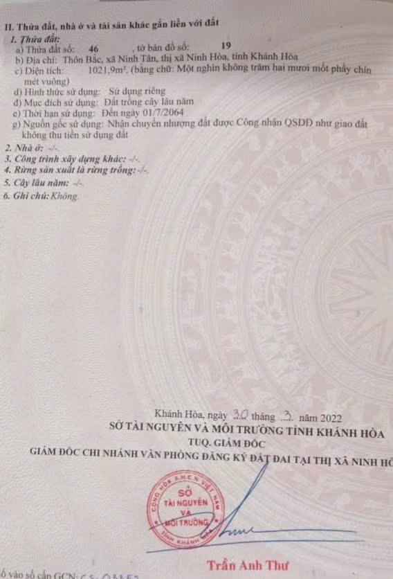 Đất trồng cây lâu năm 1021m² tại xã Nam Ninh Hòa - Giá chỉ 400 triệu!