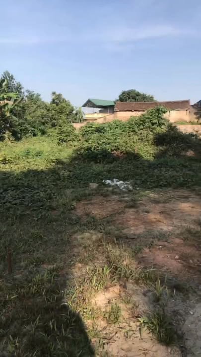 Đất nền Cần Kiệm, Thạch Thất 1400m² - Sổ đỏ chính chủ, tiện xây nhà vườn!