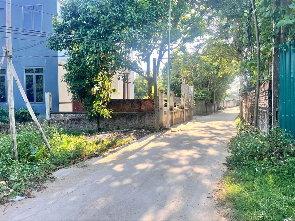 Đất nền Kim Long - Tam Dương 100m² giá 500 triệu - Đường thông thoáng, dân cư ấm áp!