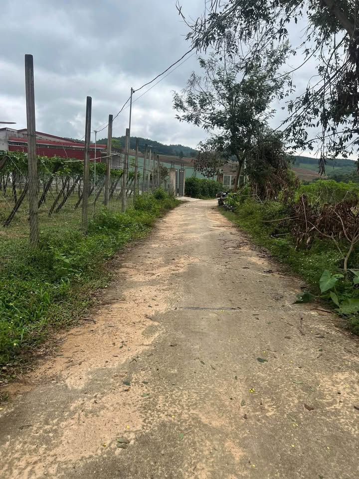 Đất nền thôn 4 Đăk Cấm, 500m² chỉ từ 5xx triệu - Cơ hội đầu tư lý tưởng!