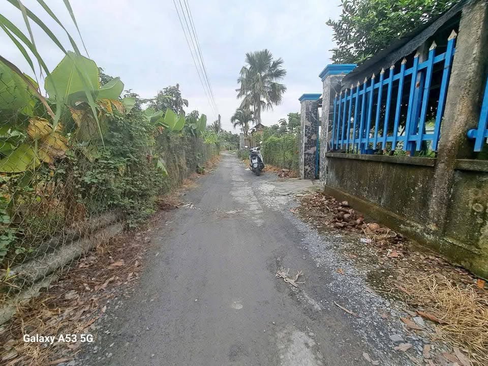 Nhà cấp 4 320m² tại Ấp 3B, Phước Lợi, Bến Lức - Giá 2.5 tỷ, Thương lượng nhẹ!