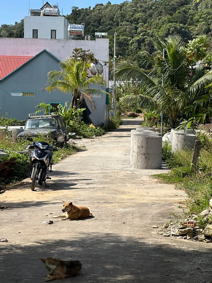 Đất nền 114m² tại Cửa Dương, Phú Quốc chỉ 800 triệu - Sổ hồng riêng, pháp lý rõ ràng!