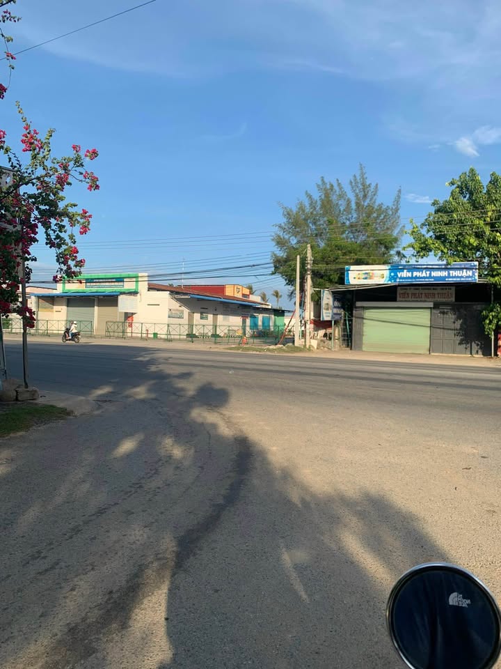 Đất CLN 1.600m² tại Phước Dân, Ninh Phước - Giá 1.6 tỷ, Sổ đỏ chính chủ!